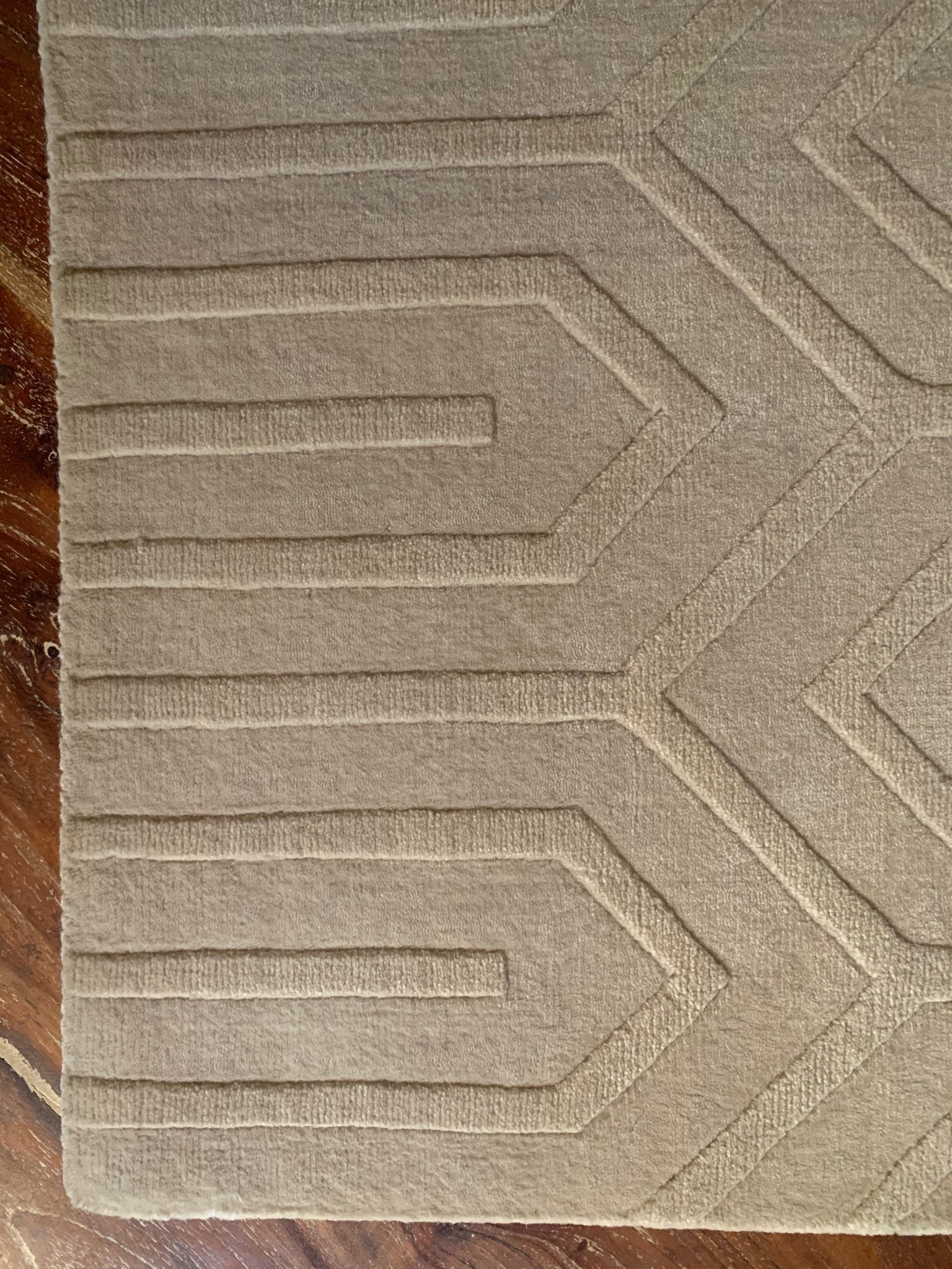 Ethnic Geometric Cream in Your Coffee Loom Knotted High-Low Viscose Rug | Banana Manor Rug Company