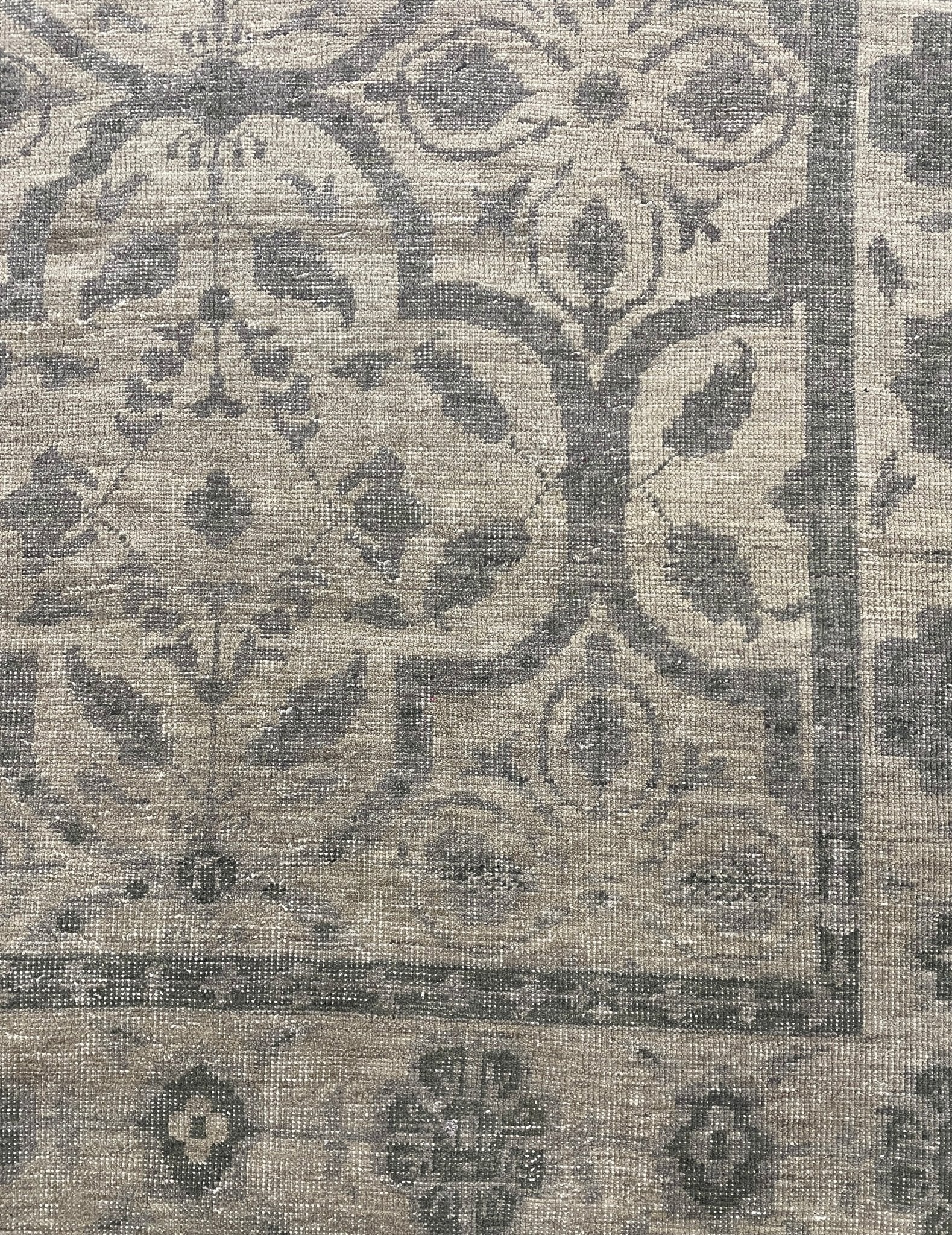 Frank Ricard 9.3x12.3 Hand-knotted Rug | Banana Manor Rug Factory Outlet