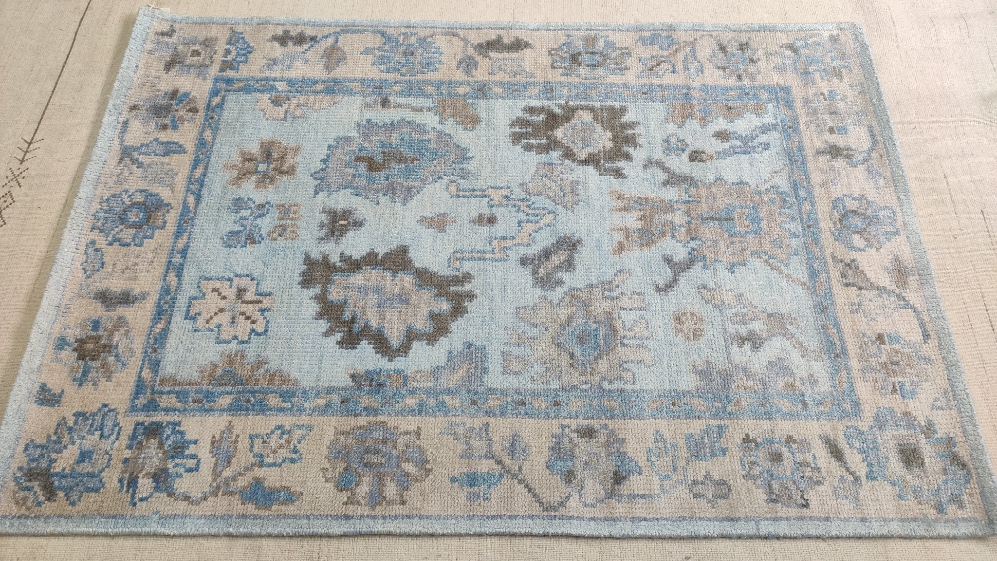 Liliana 4x6 Sky Blue and Beige Hand-Knotted Bamboo Silk Oushak Rug