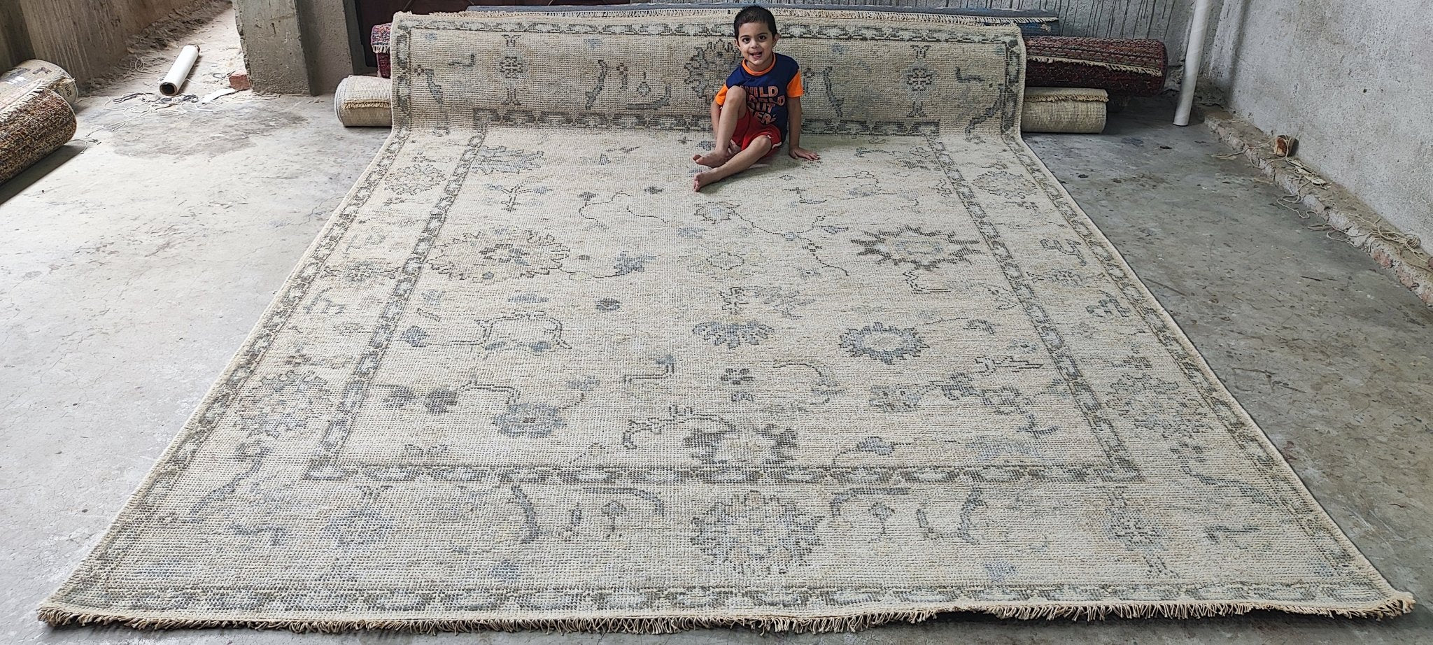 Lilly Snatchdragon 8x10 Hand Knotted Tan & Grey Oushak | Banana Manor Rug Factory Outlet