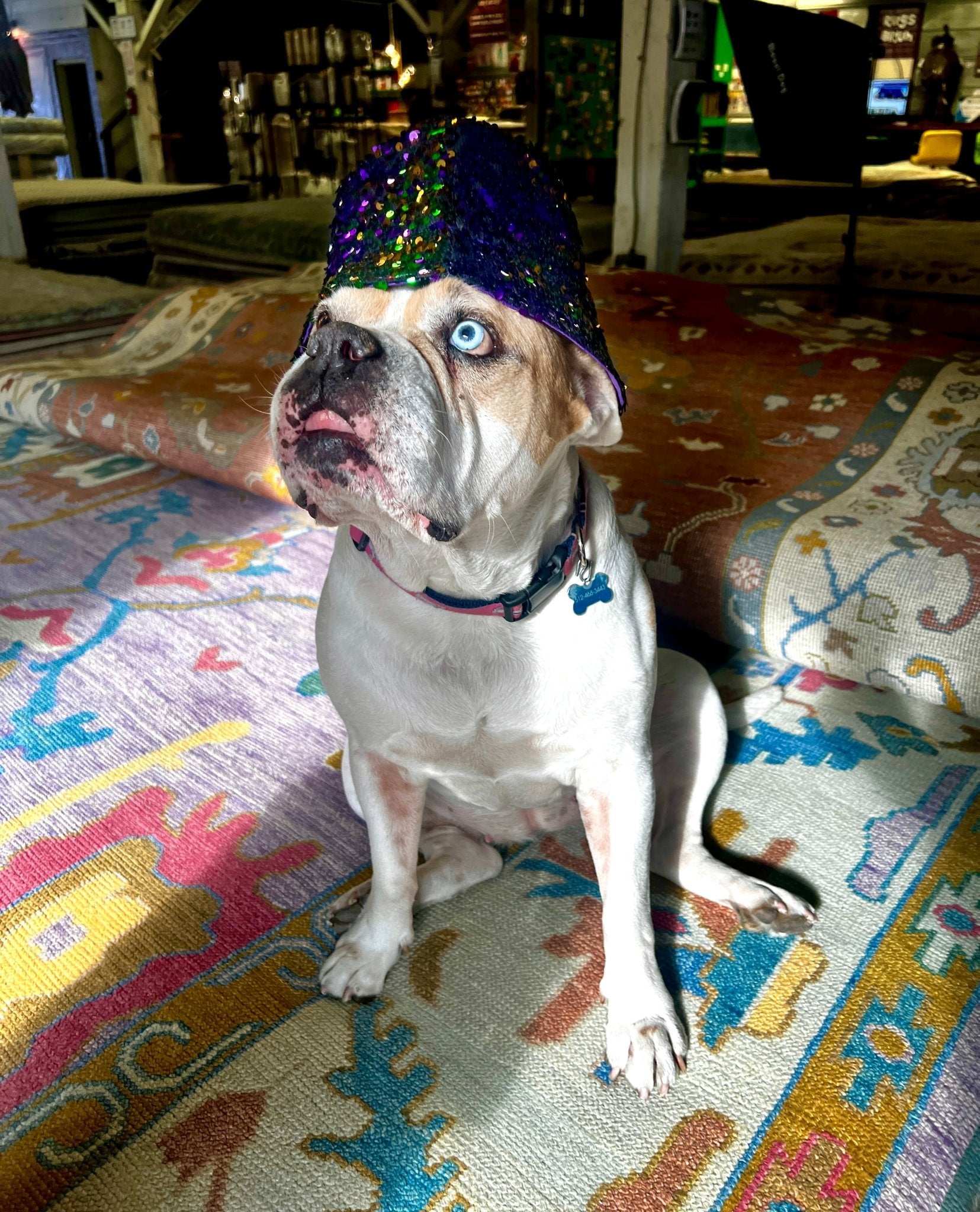 Mardi Gras Sequin Bucket Hat | Banana Manor Rug Company