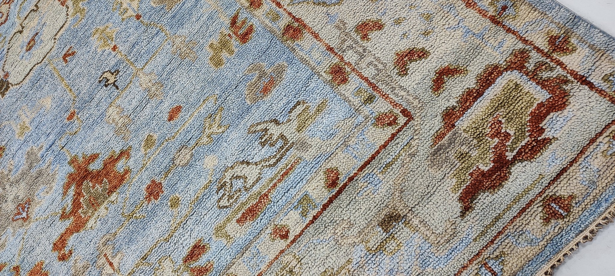 Nicollette Sheridan 9x11.9 Hand-Knotted Aqua & Tan Oushak | Banana Manor Rug Factory Outlet