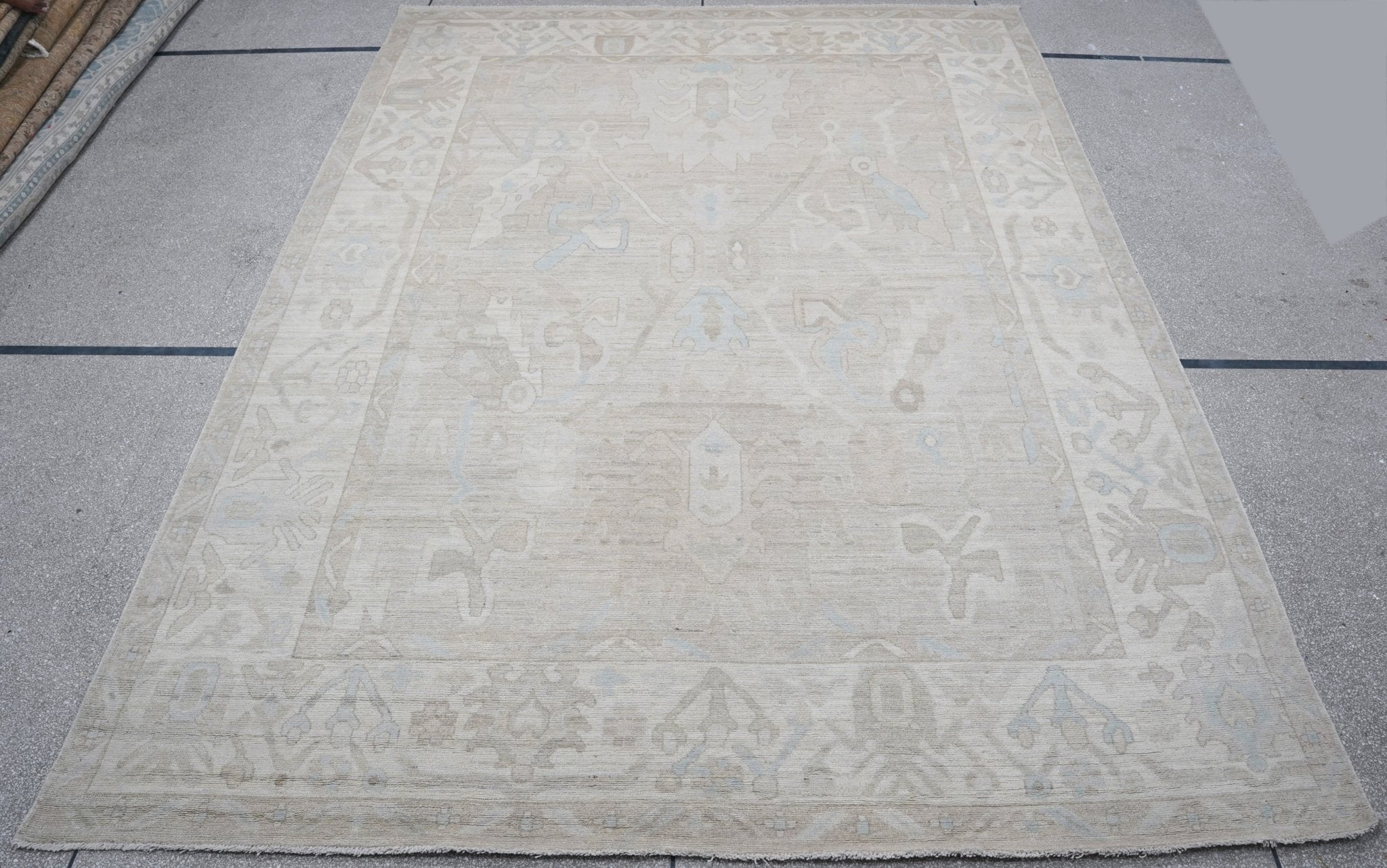 Permaz 9.1x11.10 Whitewashed Afghani Oushak | Banana Manor Rug Factory Outlet