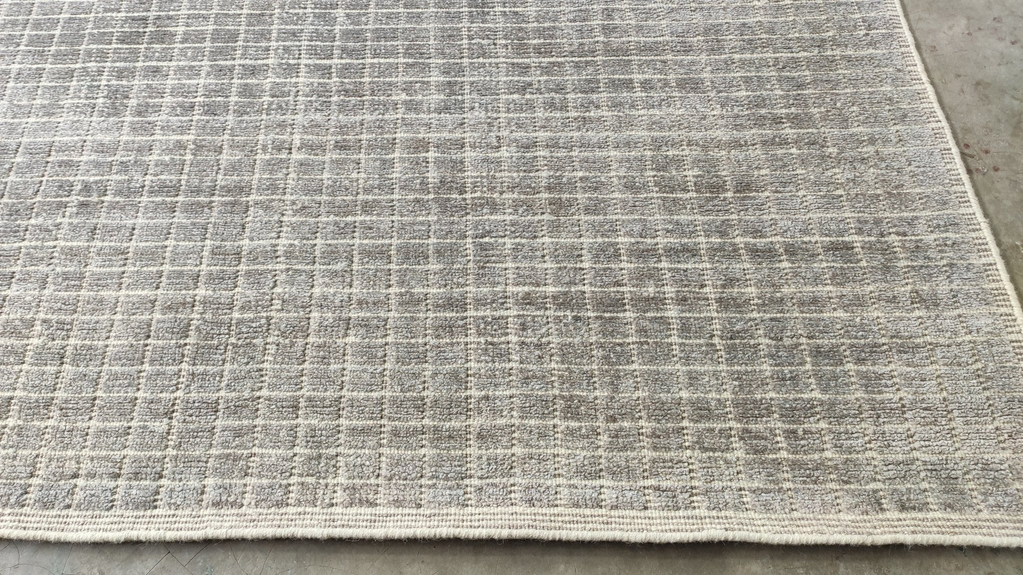 Professor Forthingham 10x13 Light Grey Handwoven Modern Rug | Banana Manor Rug Company