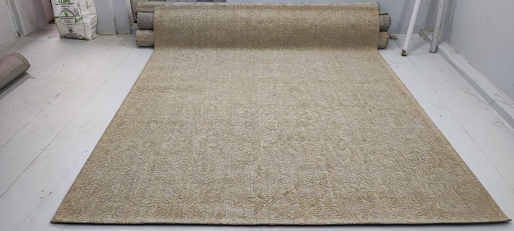 Shane Sweet 8x10 Hand-Tufted Beige Jacquard | Banana Manor Rug Factory Outlet