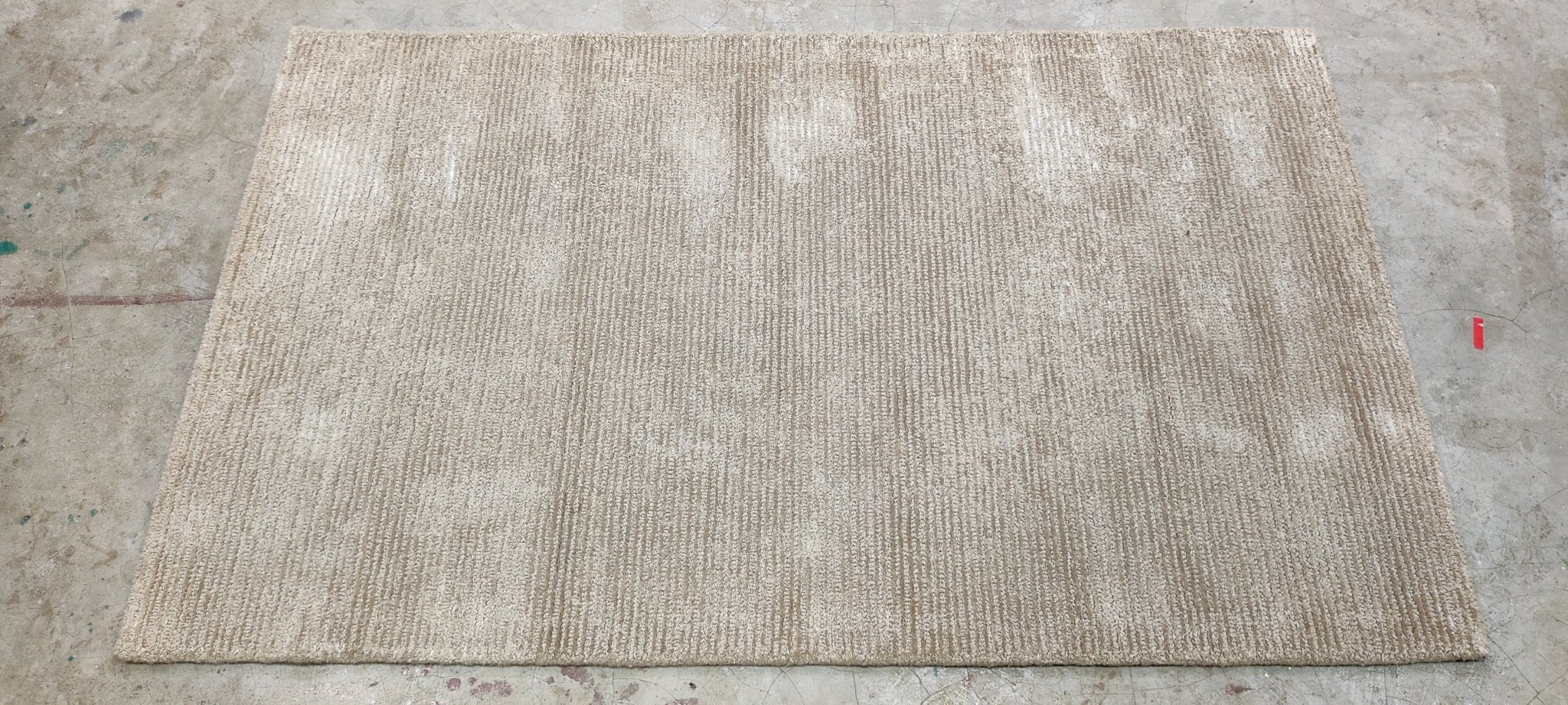 Sourtoe 3x5 Beige Hand-Tufted Rug | Banana Manor Rug Factory Outlet