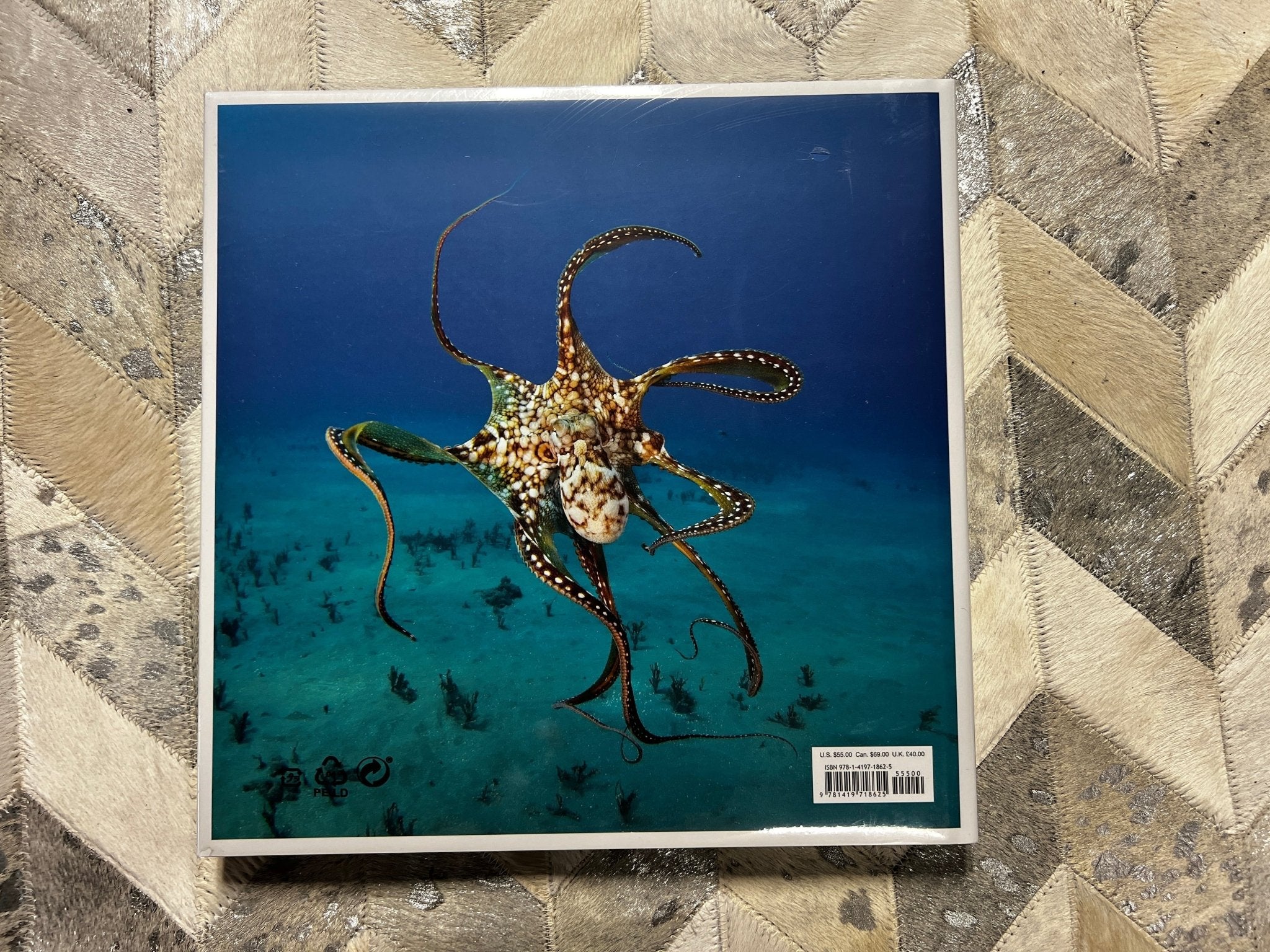 The Life & Love of the Sea Coffee Table Book | Banana Manor Rug Factory Outlet