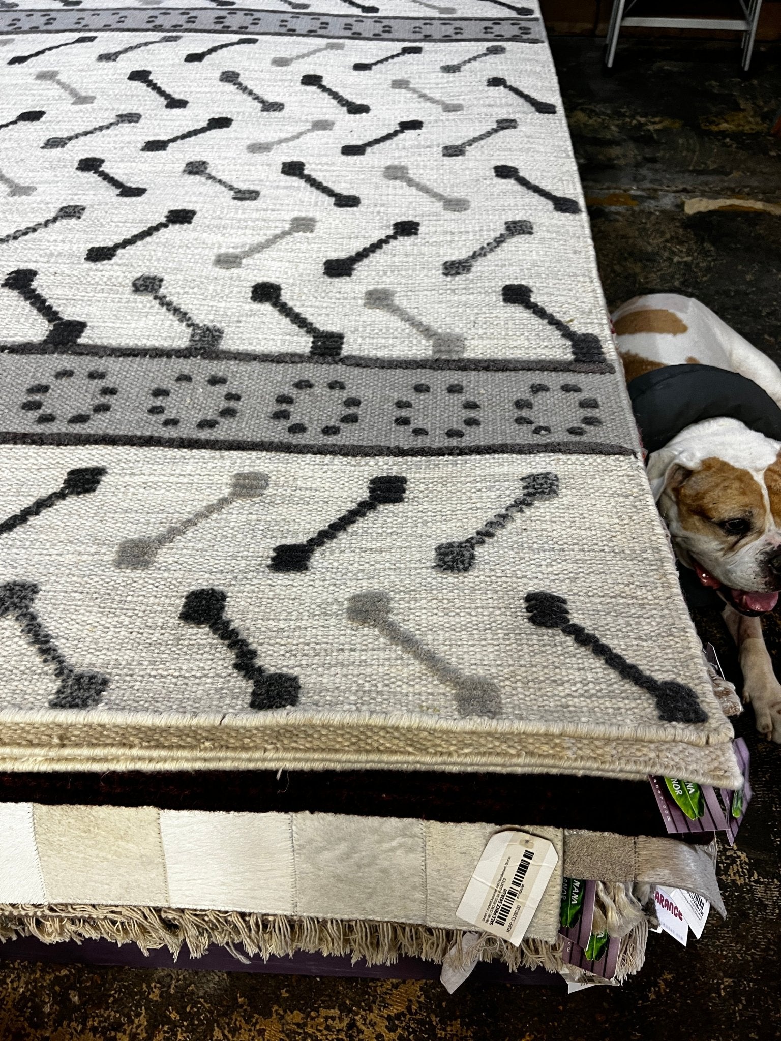 Vals 6x9 Handwoven Ivory & Grey Modern | Banana Manor Rug Factory Outlet