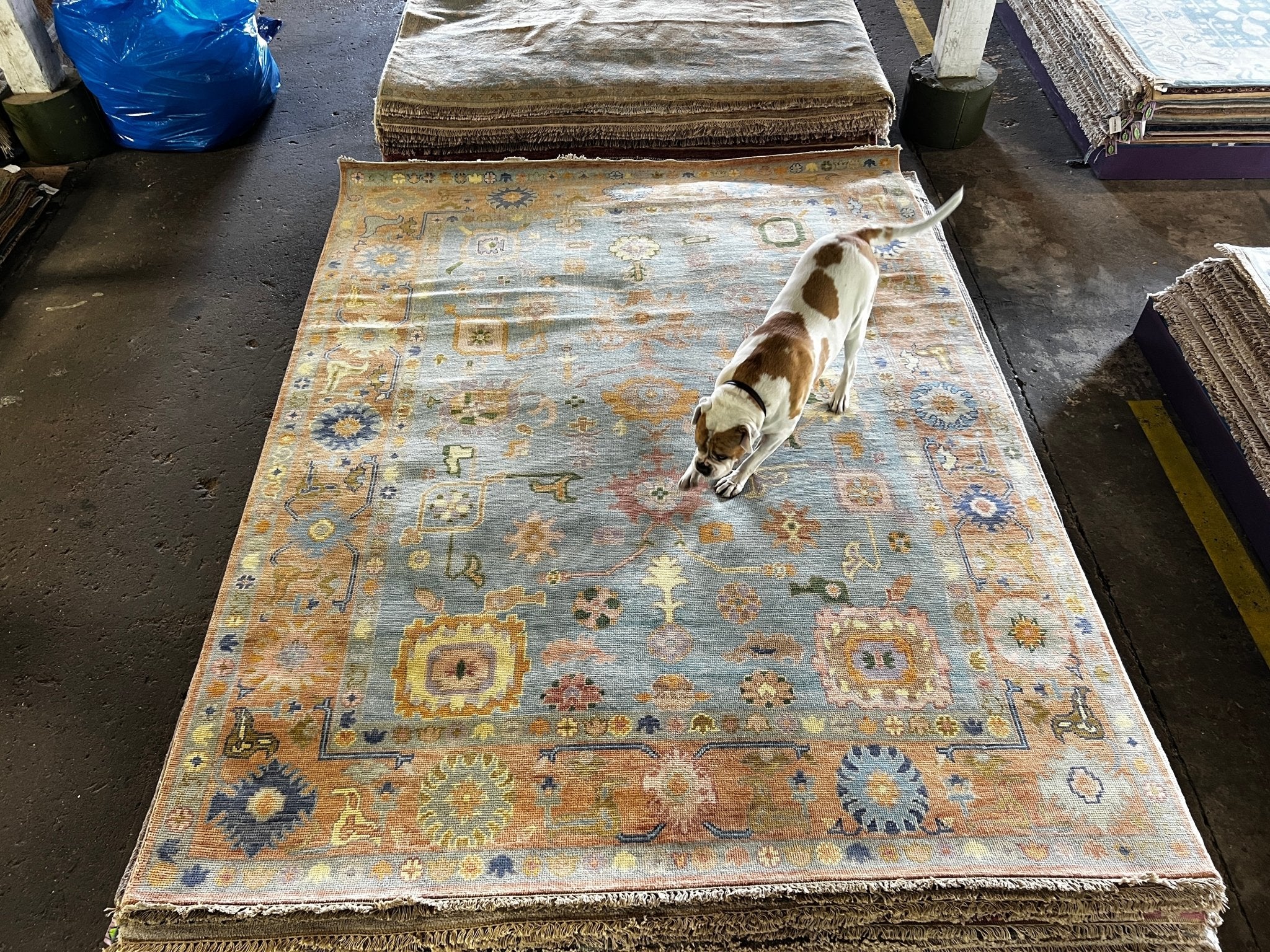 Violet 8x10.3 Light Blue and Rust Hand-Knotted Oushak Rug | Banana Manor Rug Company