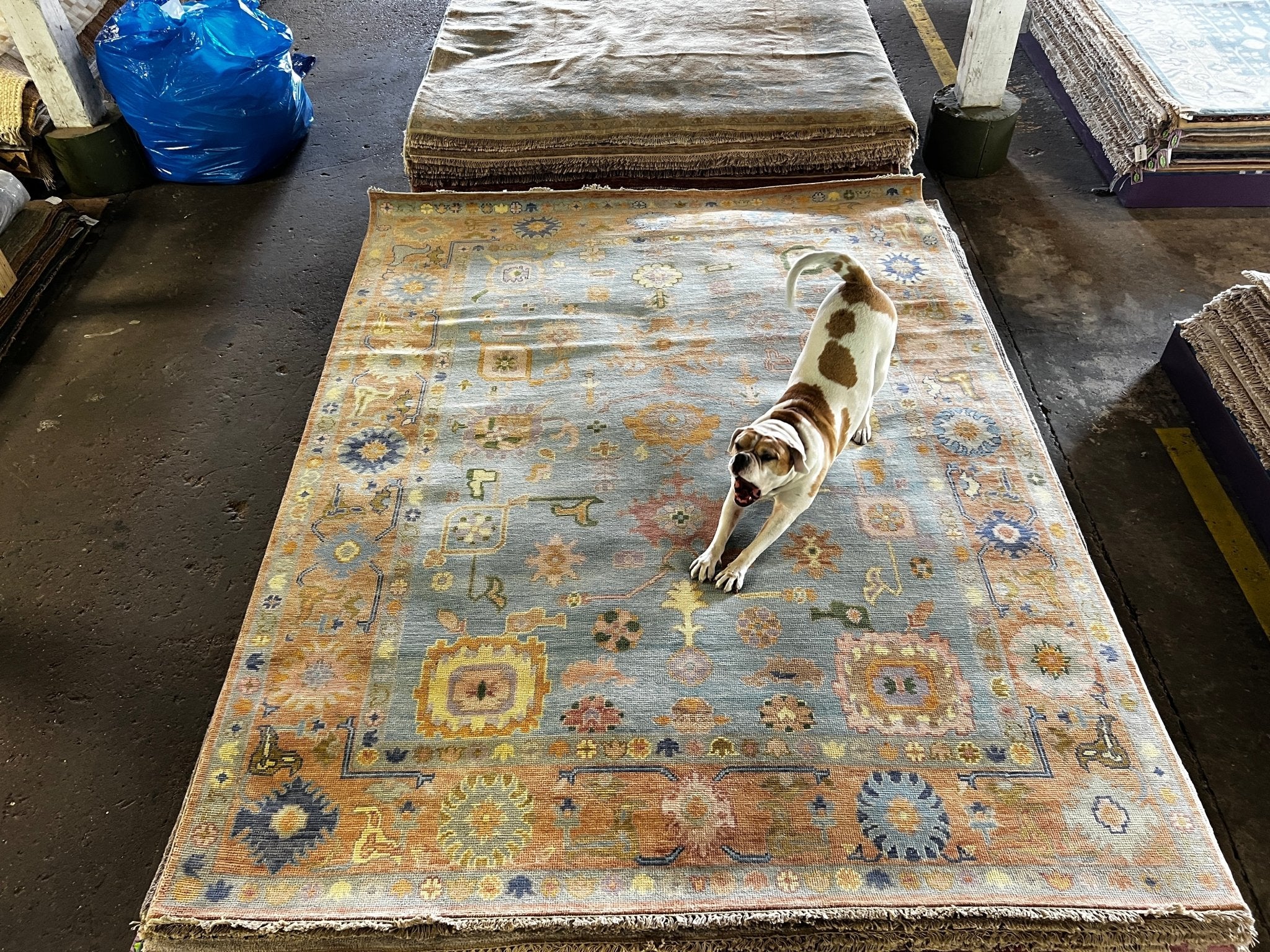 Violet 8x10.3 Light Blue and Rust Hand-Knotted Oushak Rug | Banana Manor Rug Company