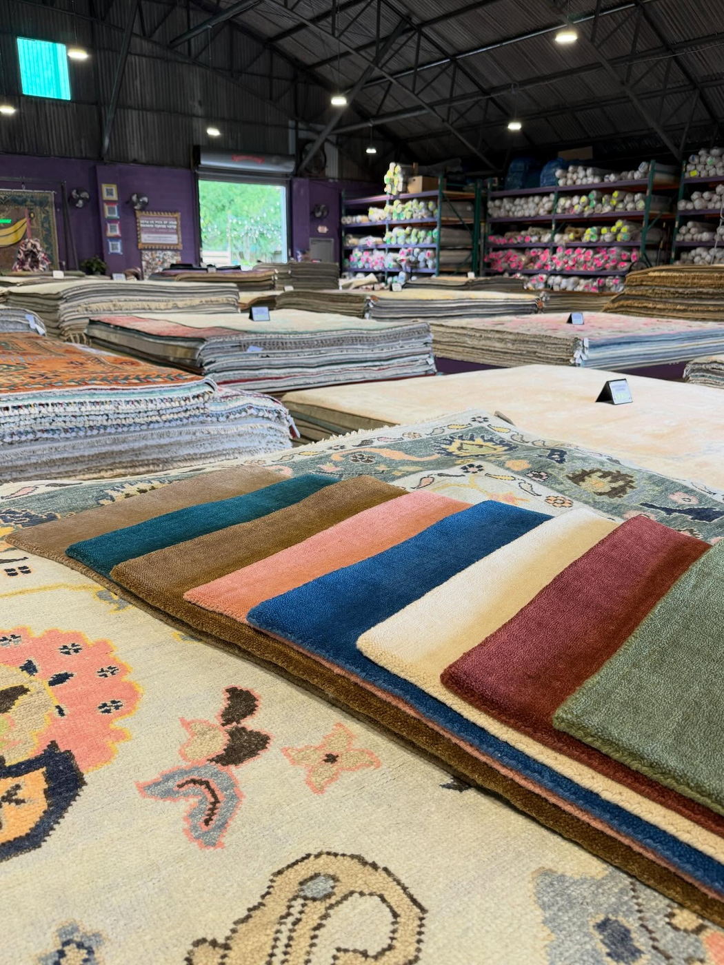 Wool color samples fanned out across an Oushak rug on the showroom floor